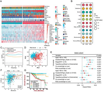 A comprehensive analysis focusing on cuproptosis to investigate its clinical and biological relevance in uterine corpus endometrial carcinoma and its potential in indicating prognosis